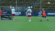 Wave Taunt GIF by Premier Lacrosse League