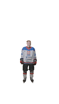 Hockey Player Sticker by STS Sanok