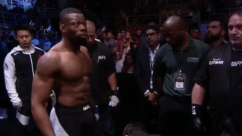 ufc 212 GIF