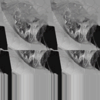 digital art glitch GIF by Death Orgone