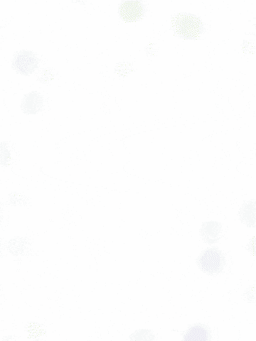 Dudinw makak GIF