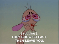 ren and stimpy nicksplat GIF