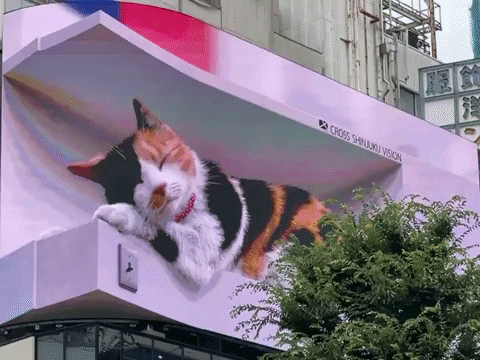 cuteanimalland giphyupload GIF