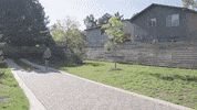 Sport Stretching GIF by Stryd