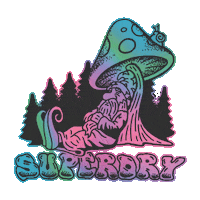 Rainbow Stars Sticker by @superdry