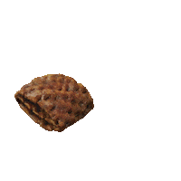 포스트 Sticker by post__cereal