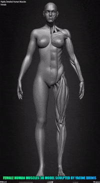 Art Sculpting GIF