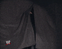 the rock wwe GIF