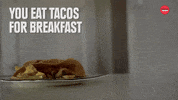 Texas GIF by BuzzFeed