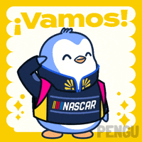 Vamos Lets Go GIF by Pudgy Penguins