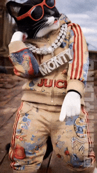 Monster Monty GIF