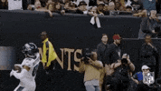 2018 nfl football GIF by NFL