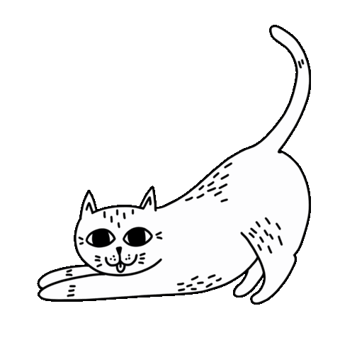 Funny Cat Sticker by STRAYZ