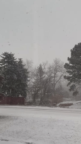 Wintry Weather Sweeps Through Denver Area