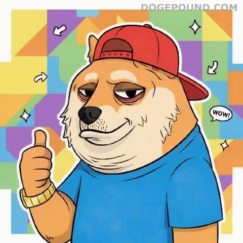 Dog Wow GIF by Doge Pound