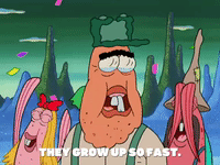 episode 15 legends of bikini bottom: the monster who came to bikini bottom GIF by SpongeBob SquarePants