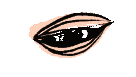 peachbabystudio giphyupload shy shell clam Sticker