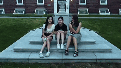 GIF by Phillips  Exeter  Academy