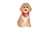 Cute Dog Sticker by zoopeez