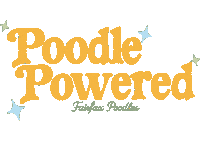 Poodle Sticker by Fairfax Poodles