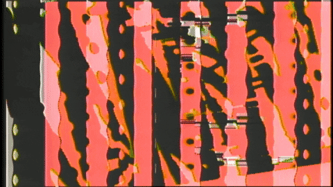 Video Art GIF by cskonopka