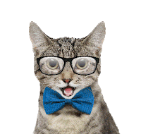 entel peru mondaycat Sticker by Entel