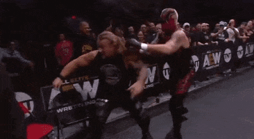 Chris Jericho ÄEw GIF by All Elite Wrestling on TNT