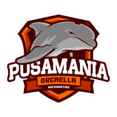 BorneoOFC giphyupload samarinda borneofc borneo fc Sticker