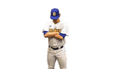 College Sports Baseball Sticker by Delaware Blue Hens
