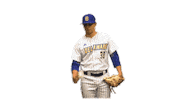 College Sports Fun Sticker by Delaware Blue Hens