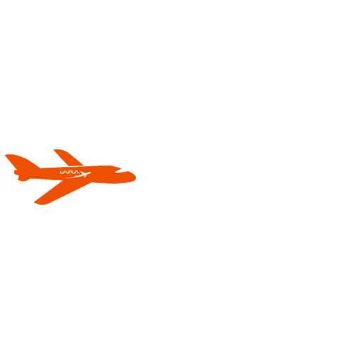 Airplane Aviation Sticker by Laraaeronautica