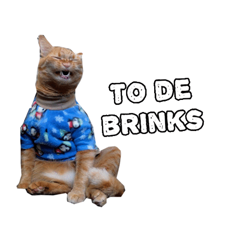 llangedesign giphyupload gato sorriso brincadeira Sticker