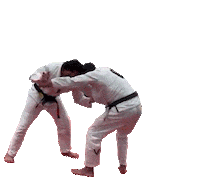 Judo Jiujitsu Sticker by Virtue BJJ
