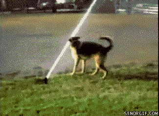 dumb louis ck GIF by Cheezburger