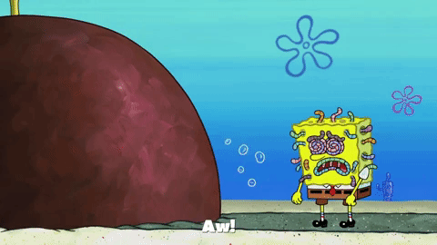 season 10 episode 3 GIF by SpongeBob SquarePants