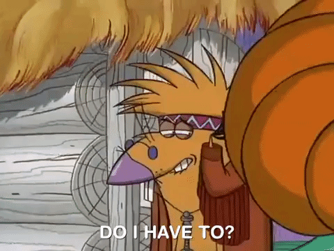 nickrewind giphydvr nicksplat angry beavers giphyab017 GIF