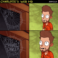 web charlotte GIF