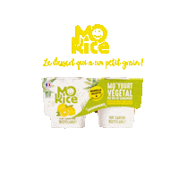 Vegan Veganfood Sticker by Mo'Rice