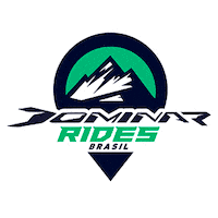 Dominar Sticker by Bajaj do Brasil