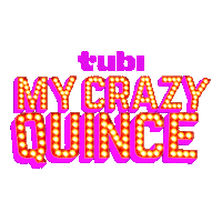 Quince Quinceanera Sticker by Tubi