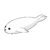 Seal Sticker by arvaequipment