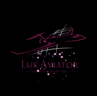 Lux-Aviator jet GIF