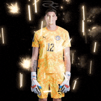 Fifa World Cup Paraguay GIF by Respective