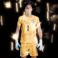 Fifa World Cup Paraguay GIF by Respective