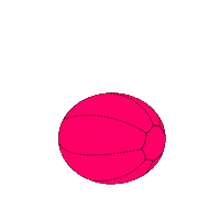 beach ball Sticker by Fabletics EU