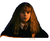 harry potter STICKER