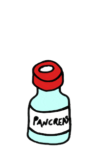 Diabetes Insulin Sticker by The Diabetic Survivor