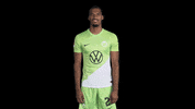 Germany Hello GIF by VfL Wolfsburg