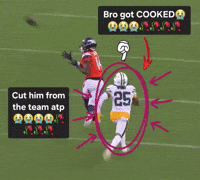 Green Bay Packers GIF