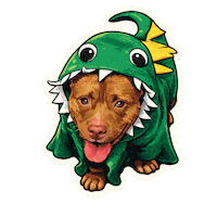 Fun Love Sticker by abana a cauda